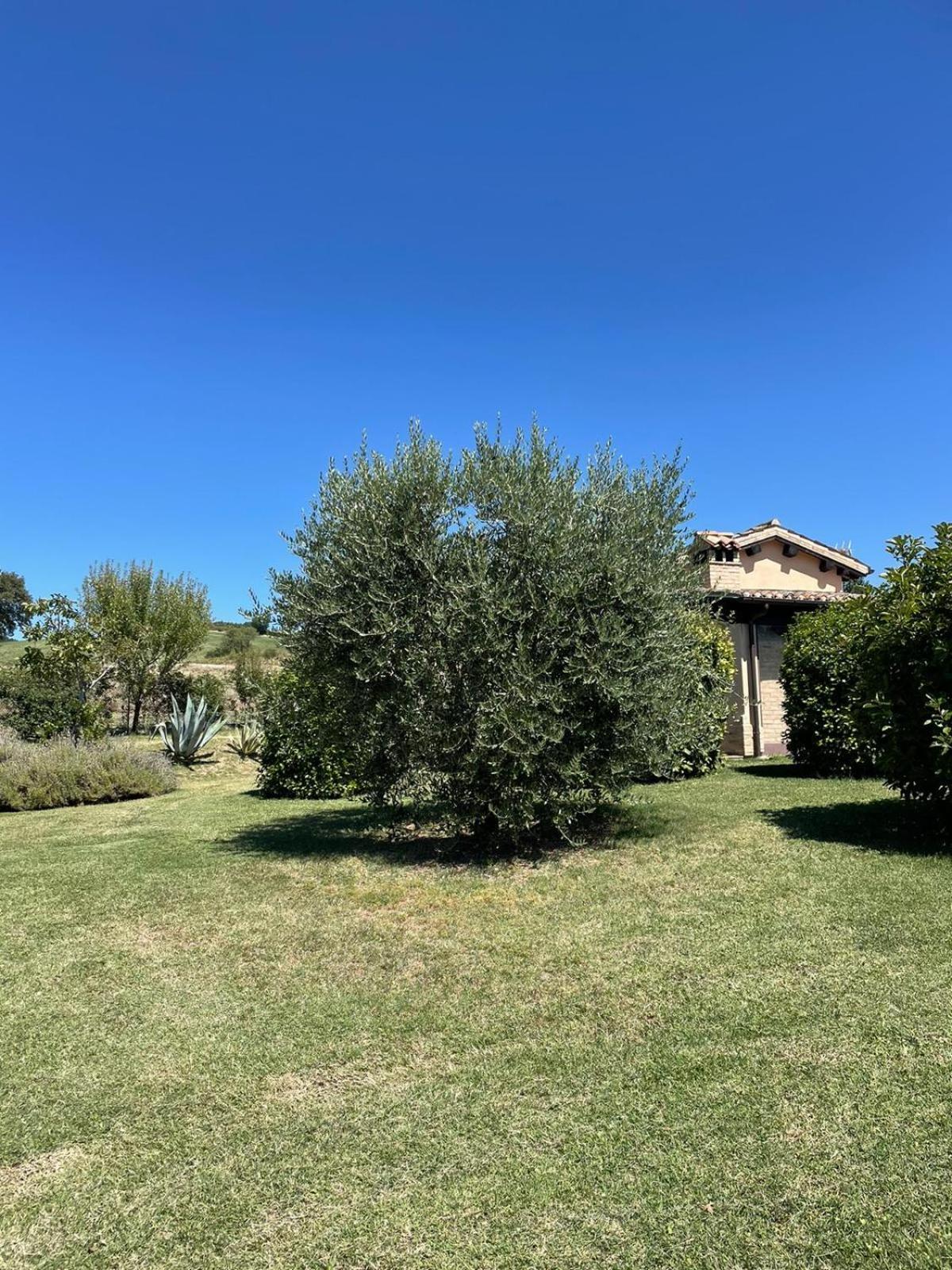 Agriturismo Villa Rosetta San Severino Marche Exterior photo